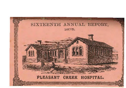 16th Annual Report Pleasant Creek Hospital 1875.pdf.jpg